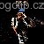Tom Waits - Virginia Avenue, Tom Waits, Pop světový - Monofonní melodie na mobil - Ikonka