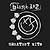 Not Now, Blink 182, Rock světový - Monofonní melodie na mobil - Ikonka