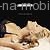 Pieces Of A Dream, Anastacia, Pop světový - Polyfonní melodie na mobil - Ikonka
